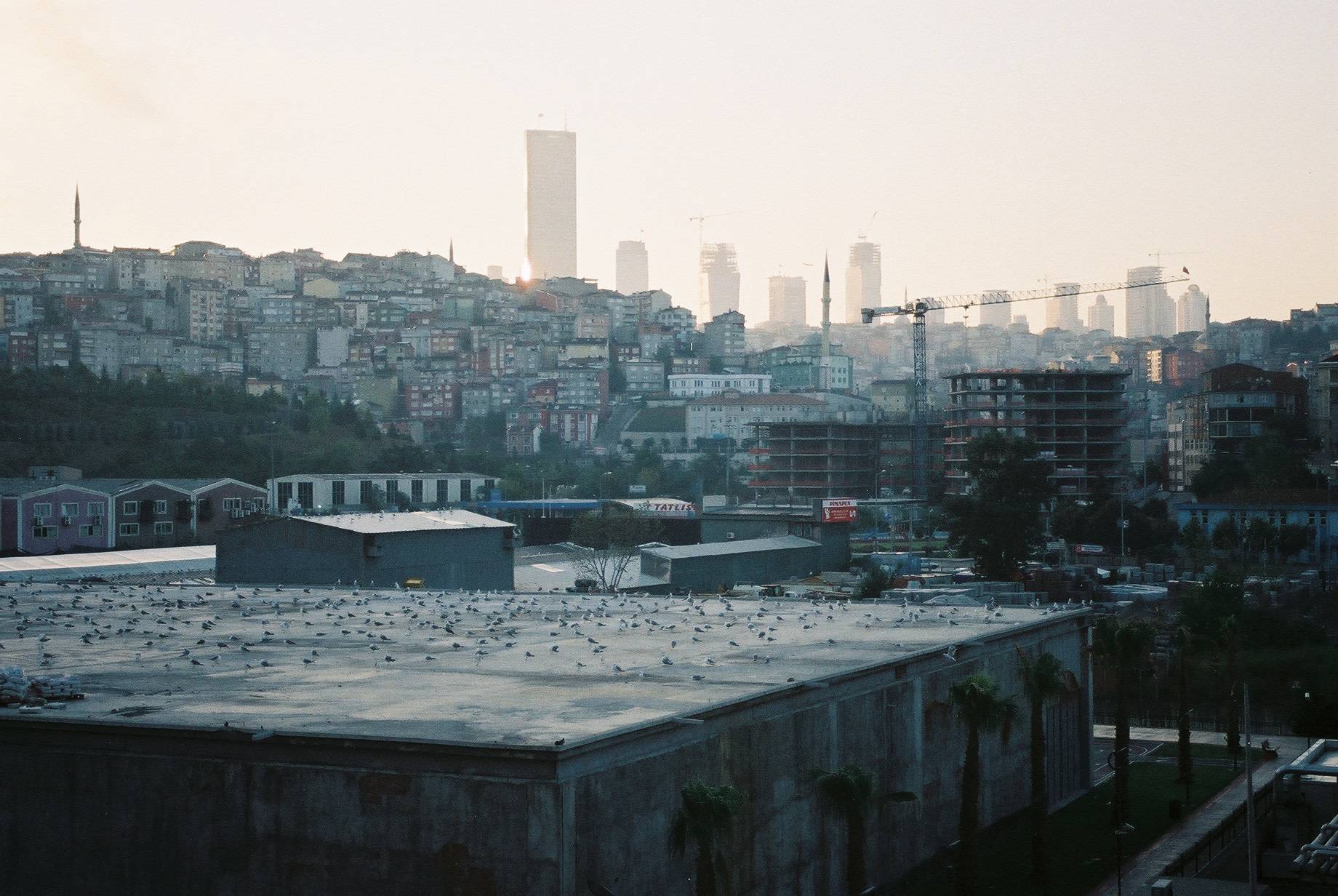 huge concrete structure with seagulls on top, sprawling urban area including several constructions behind it, sunrise and city skyline on the horizon