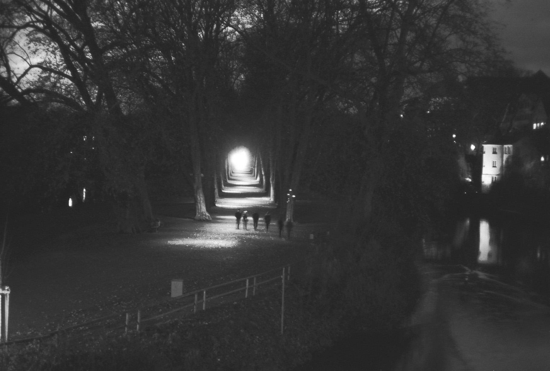 silhouettes of several people walking down the path through the trees, it is very dark around and the light coming from the end of path seems to light up the scene