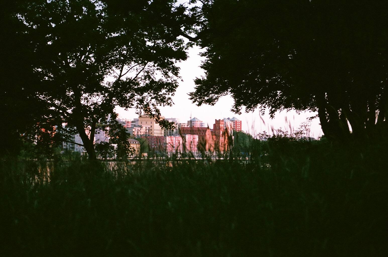 several brick coloured buildings far away seen through silhouettes of two trees on either side and thick grass on the bottom
