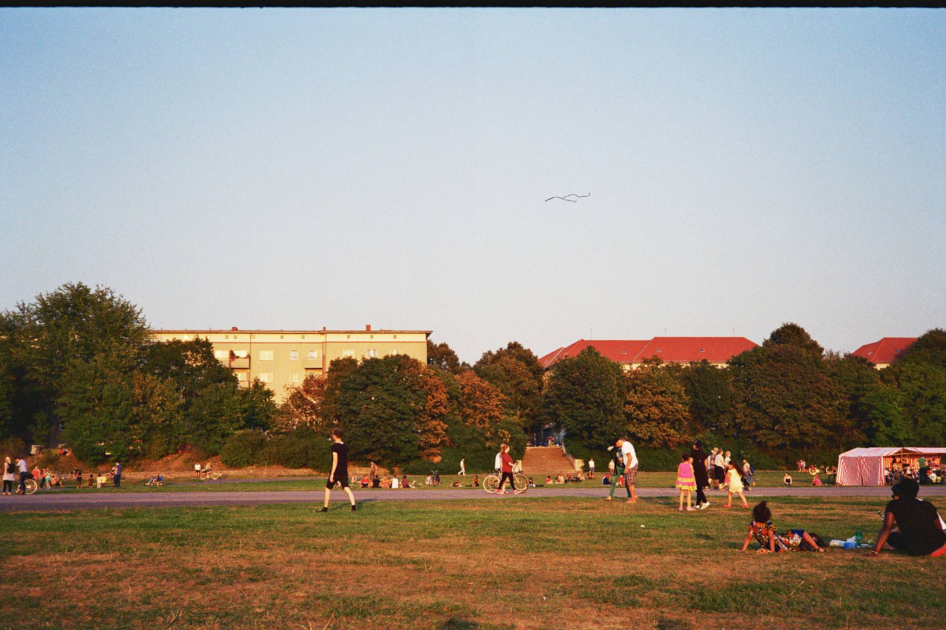 people hanging around in a park covered with grass and surrounded by trees under the clear blue sky