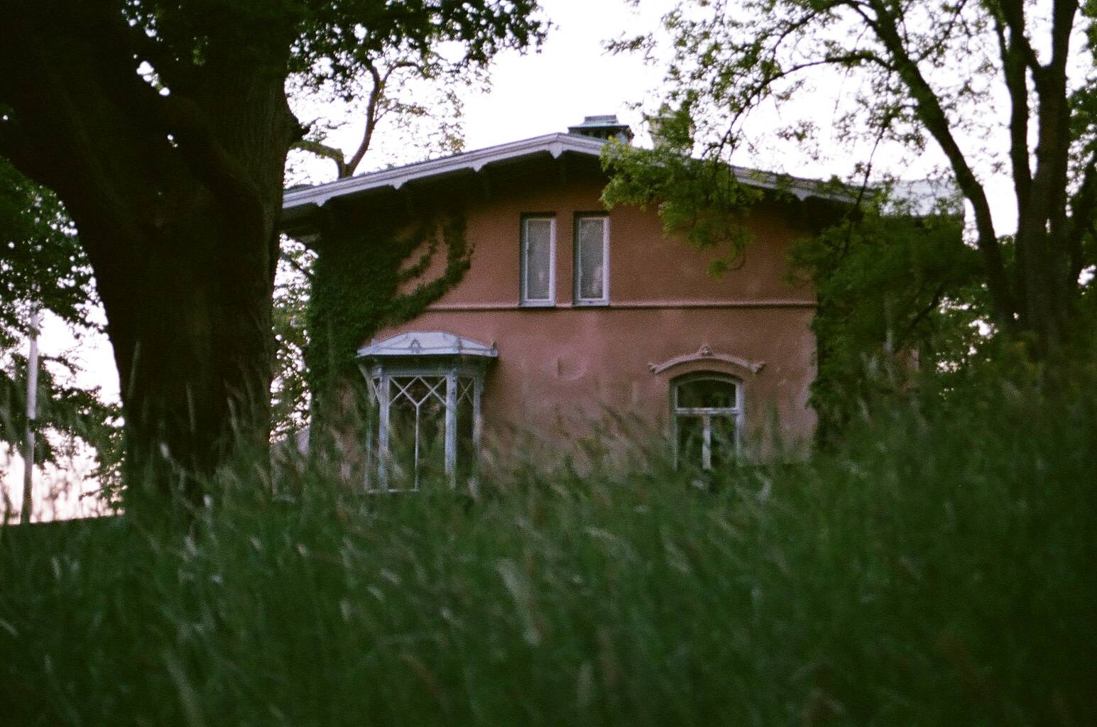 two floored brick coloured house behind thick grass and the silhouette of a tree